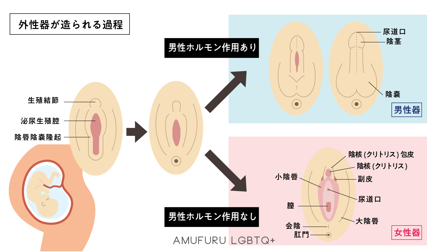 パソコン用の画像