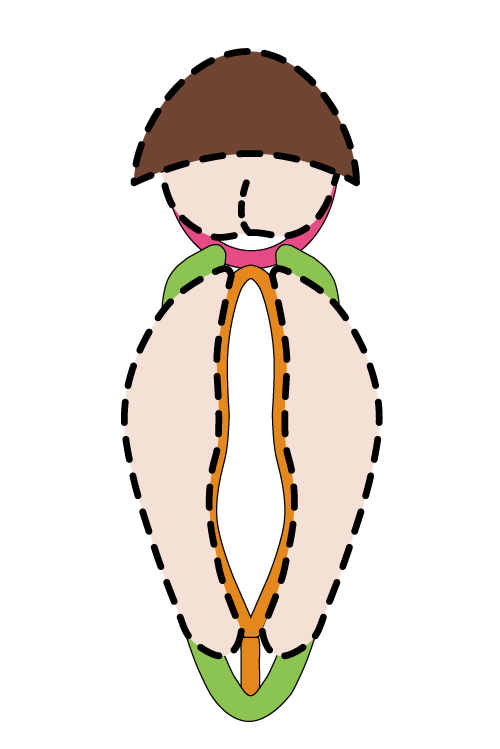 股間タックを行いクリトリスと小陰唇を形成しているイラスト